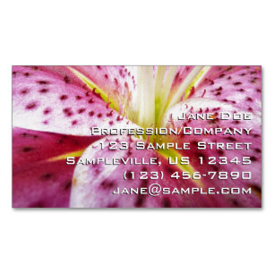 Stargazer Lily Bright Magenta Blommigt Magnetiska Visitkort