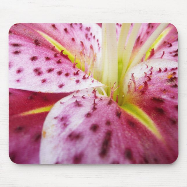Stargazer Lily Bright Magenta Blommigt Musmatta (Framsidan)
