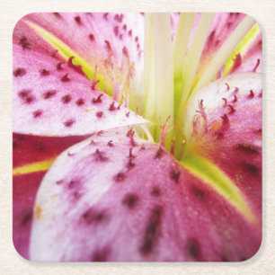 Stargazer Lily Bright Magenta Blommigt Underlägg Papper Kvadrat