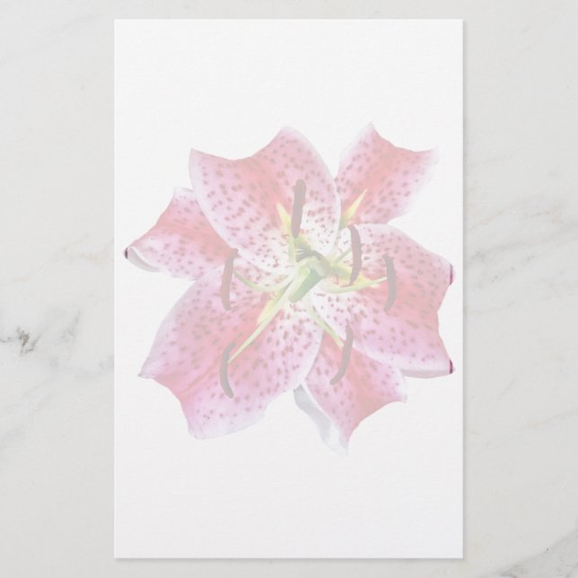 Stargazer Lily Closeup (Framsida)