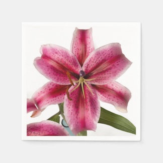 Stargazer Lily Cocktail Napkin Pappersservett