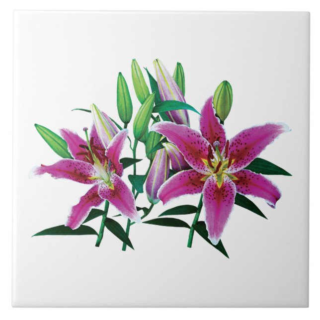 Stargazer Lily Family Kakelplatta (Framsidan)