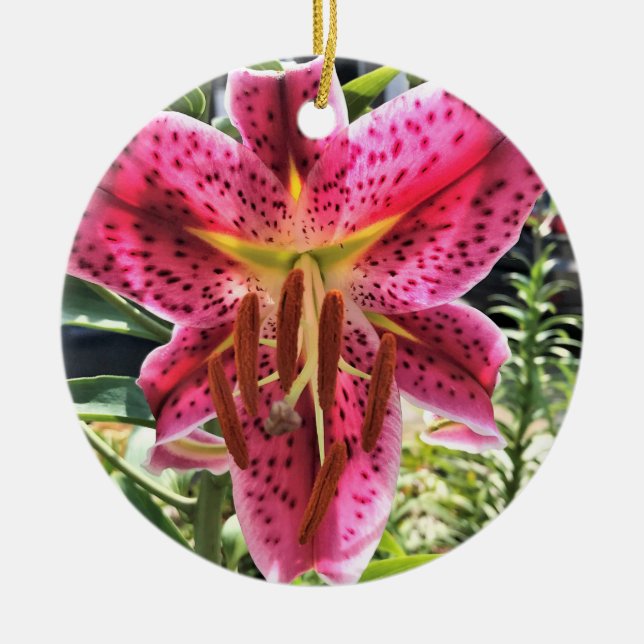 Stargazer Lily Flower Julgransprydnad Keramik (Framsidan)