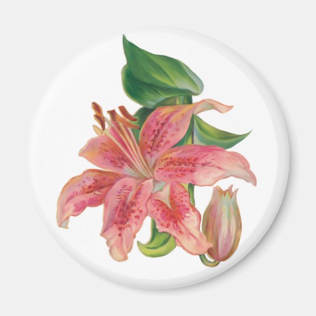 Stargazer Lily Magnet (Framsidan)