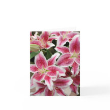 Stargazer Lily Note Card - tomt