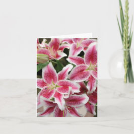 Stargazer Lily Note Card - tomt Kort