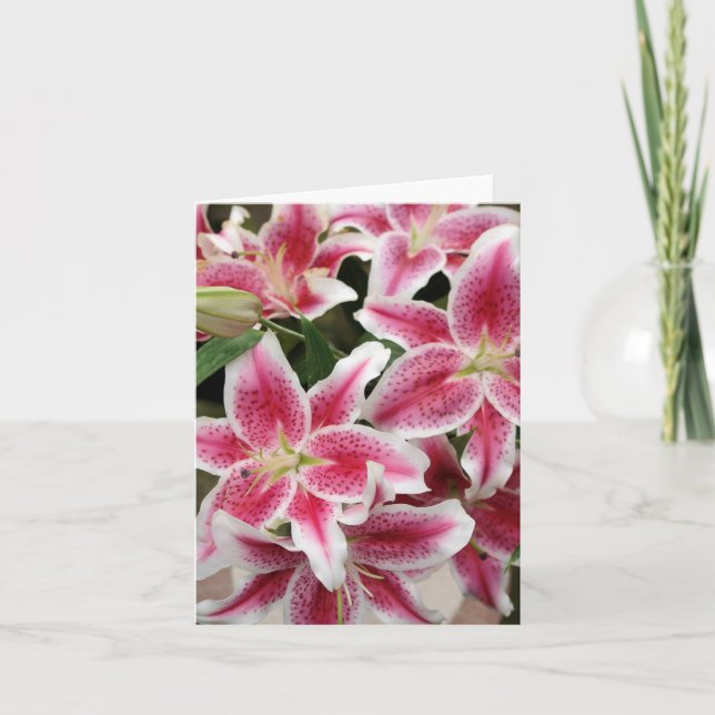 Stargazer Lily Note Card - tomt Kort (Framsida)