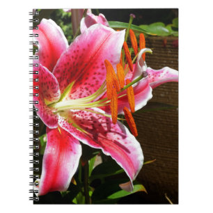 Stargazer Lily Photograph Anteckningsbok