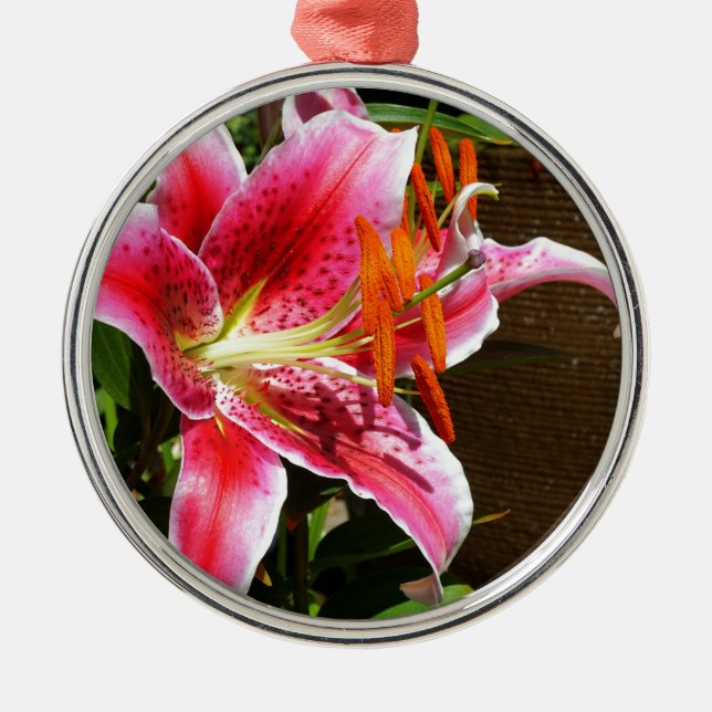 Stargazer Lily Photograph Julgransprydnad Metall (Framsidan)