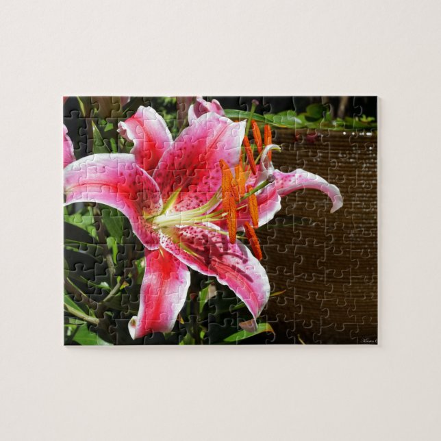 Stargazer Lily Photograph Pussel (Horisontell)