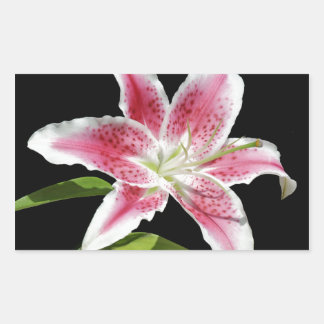 Stargazer Lily Rektangulärt Klistermärke