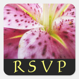 Stargazer Lily Rosa Blommigt OSA Sticker Fyrkantigt Klistermärke