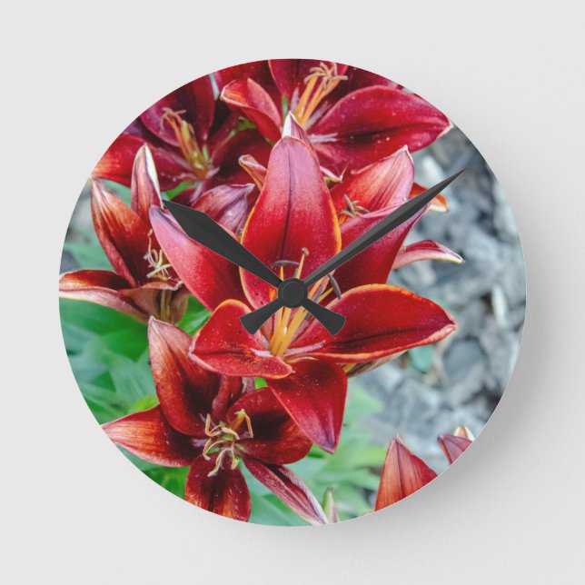 Stargazer Lily Rund Klocka (Framsida)