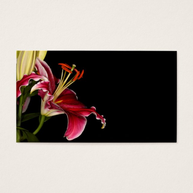 Stargazer Lily Visitkort (Framsidan)
