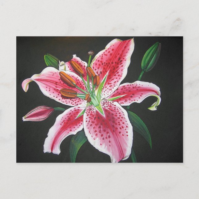 Stargazer lily vykort (Framsida)