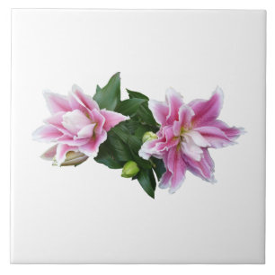 Stargazer oriental lilies kakelplatta
