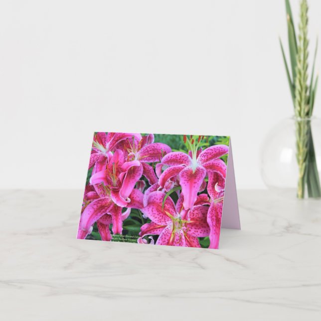Stargazer Rosa Oriental Lilies Note Card Kort (Framsida)