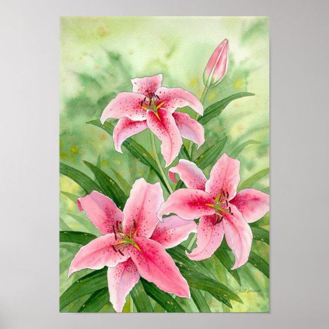 Stargazerlilies Poster (Framsidan)