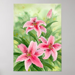 stargazerliliestryck poster