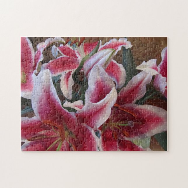 Stargazers-1 Pussel (Horisontell)