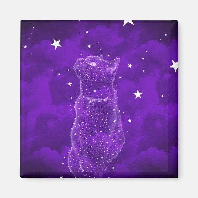 Stargazing Cat Magnet (Framsidan)