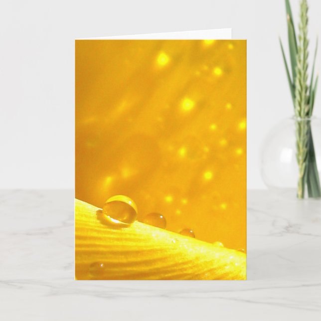 Stargazing Dew Drocks, artiklar i naturpoesi Kort (Framsida)