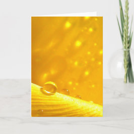 Stargazing Dew Drocks, artiklar i naturpoesi Kort