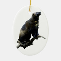 Stargazing Wolverine