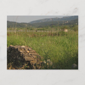 Stari Grad Plain Vykort