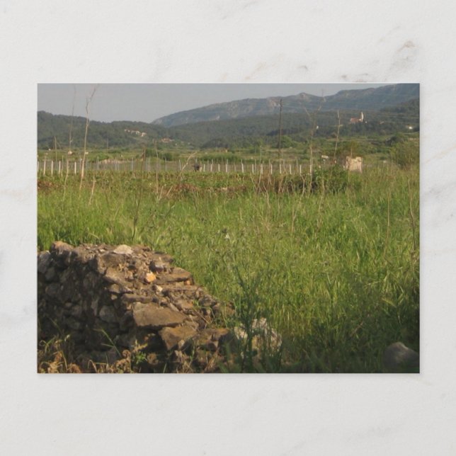 Stari Grad Plain Vykort (Framsida)