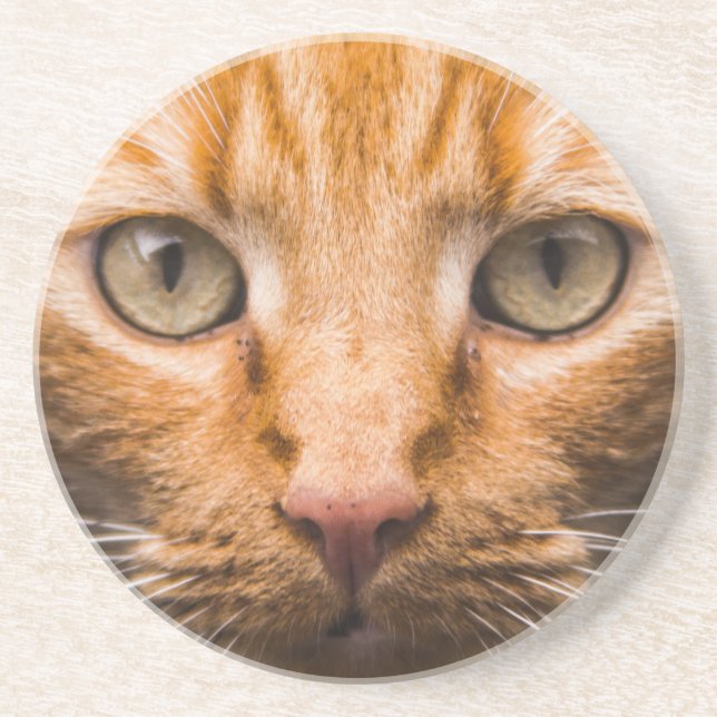 Staring Cat sandstone underlägg (Framsidan)