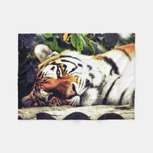 Staring Tiger Fleecefilt