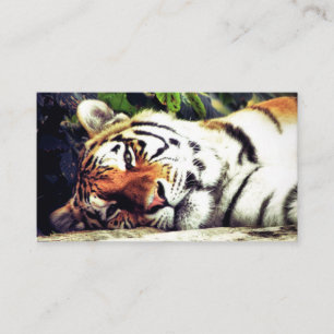 Staring Tiger Visitkort