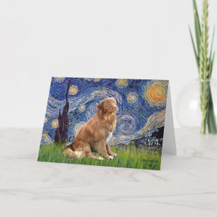 Starjkväll - Nova Scotia Anka Rolling Retriever Kort