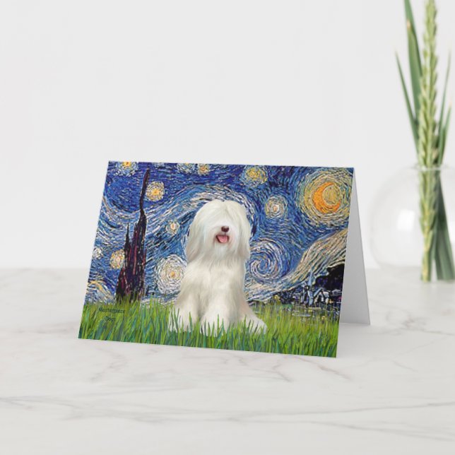 Starjkväll - vit tibetansk terrier kort (Framsida)