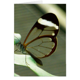 Stark brun och genomskinlig fjäril hälsningskort