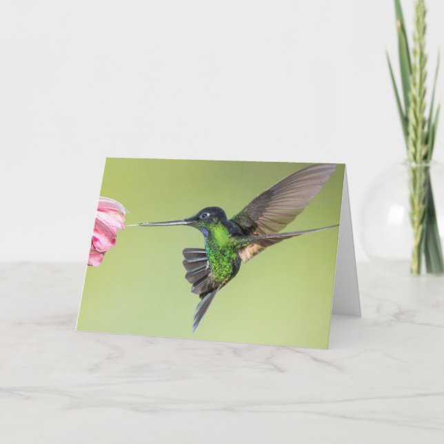 Stark Hummingbird i flygande Pose Kort (Framsida)