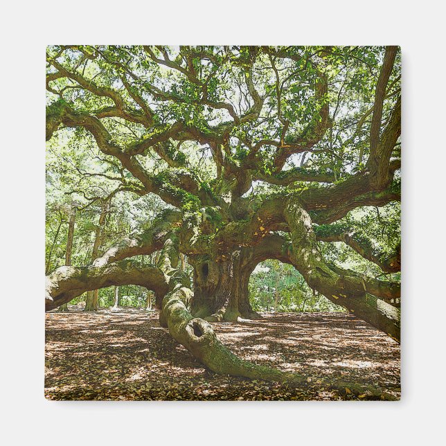 Stark och djärv magnet (Framsidan)