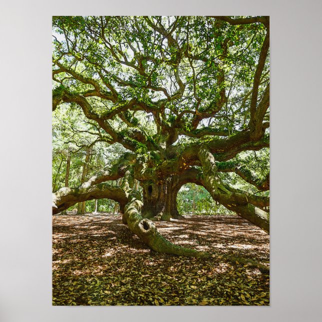 Stark och djärv poster (Framsidan)