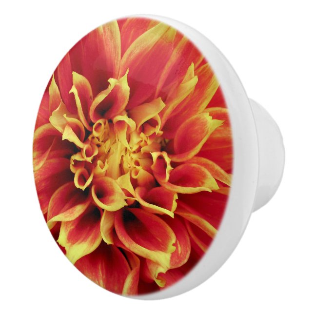 Stark Orange Dahlia Closeup Drawer Knob Knopp (Höger)