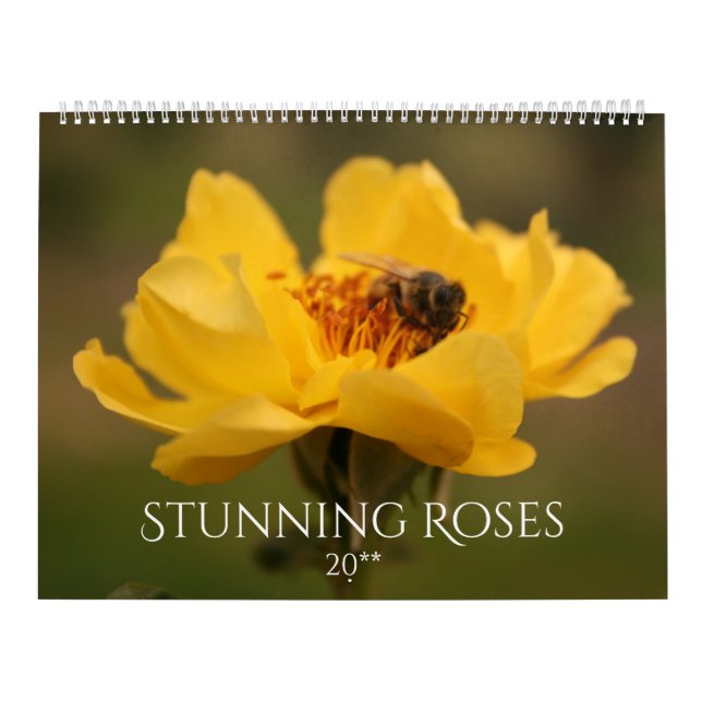 Stark Rosor Kalender (Omslag)