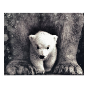 Stark som mamma Polar Bear Unge Fototryck