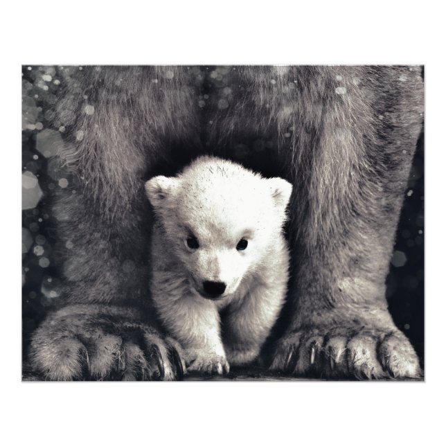 Stark som mamma Polar Bear Unge Fototryck (Framsidan)