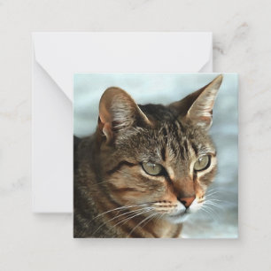 Stark Tabby katt CloseUp Artistic Porträtt Anteckningskort
