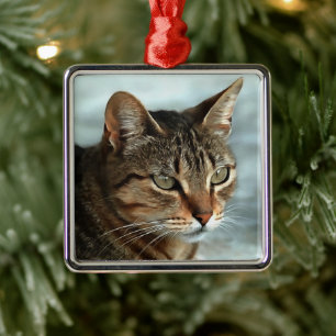 Stark Tabby katt CloseUp Artistic Porträtt Julgransprydnad Metall