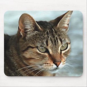 Stark Tabby katt CloseUp Artistic Porträtt Musmatta