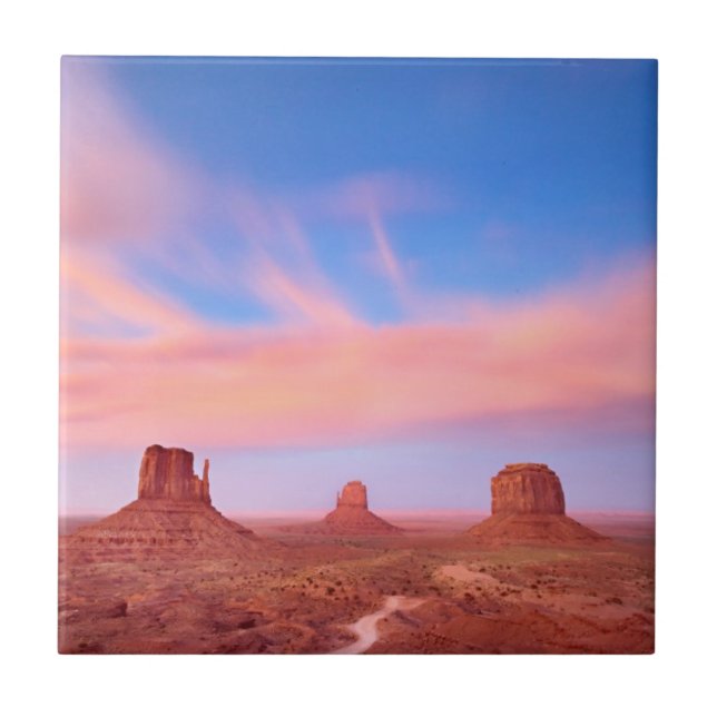 Starka vind över ökendalen kakelplatta (Framsidan)