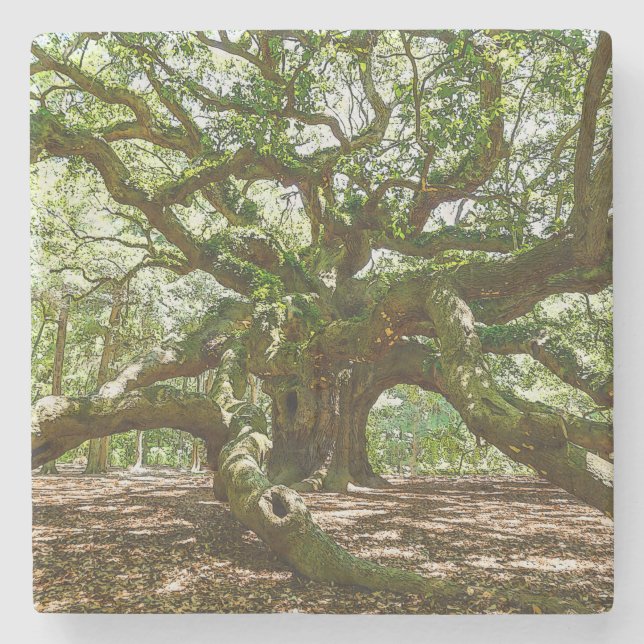 Starkt och djärvt stenunderlägg (Framsidan)