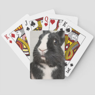 Starled Black and White Bunny Rabbit Casinokort