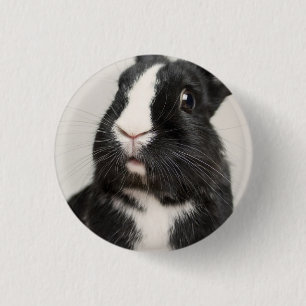 Starled Black and White Bunny Rabbit Knapp